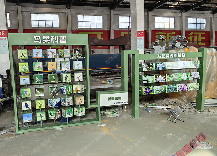 广东鸟类和植物介绍翻转牌